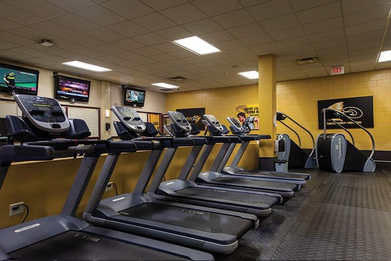 The Fitness Center (Cardio Room)